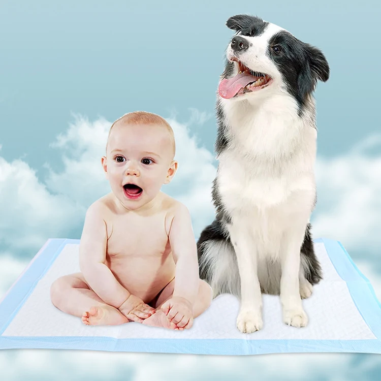 winning products 2024 new design china factory wholesale high quality pet products puppy potty training pee pads