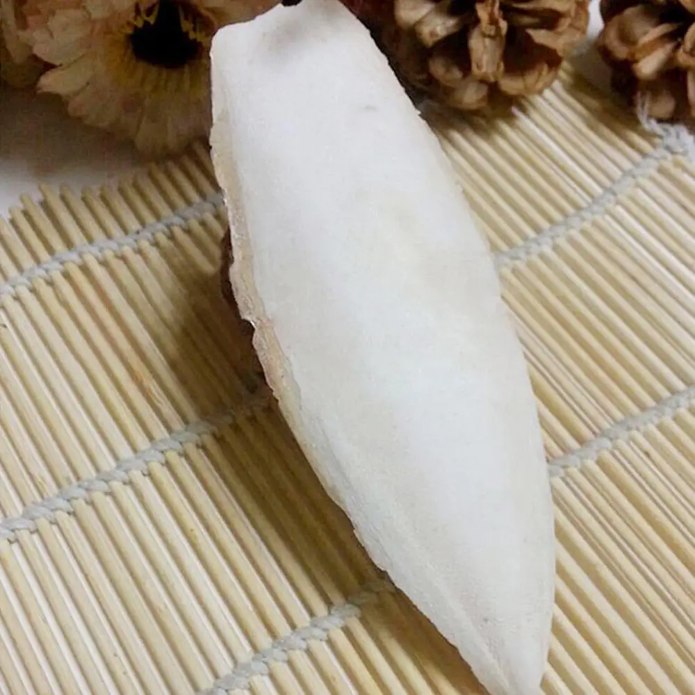 
COMPETITIVE PRICE - CuttleFish Bone in Viet Nam 