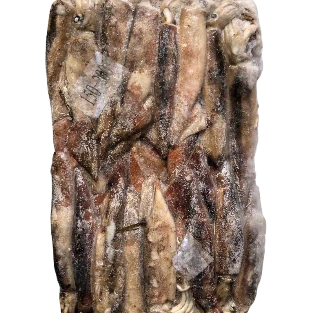 Аргентинский кальмар/замороженный иллекс кальмар