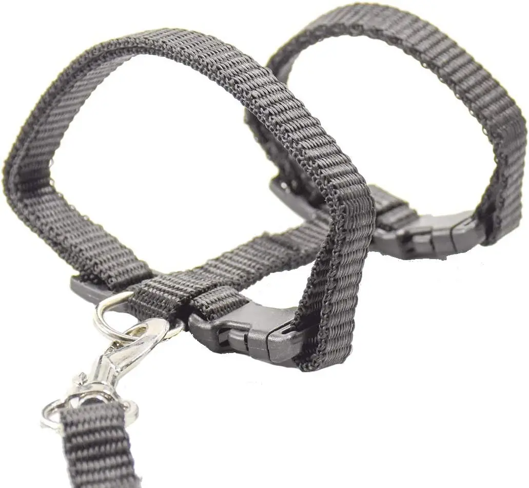 Adjustable Pet Cat Collar For Cats Nylon Strap Belt Safety Rope Leads Rabbit Kitten Kedi Harness Leash Set