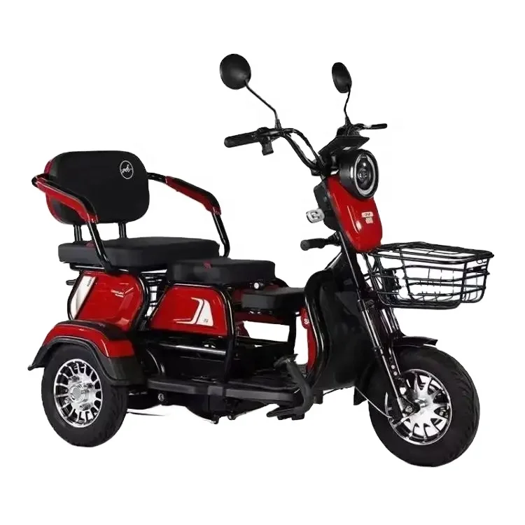 600W/800W Power 3-Wheel Electric Passenger Bicycle 3-Speed Cargo Tricycle with Lead-Acid Battery for Adults