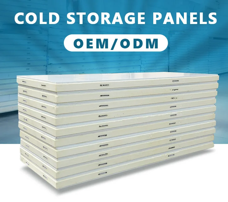 CE Exterior Fireproof Thermal Insulation EPS/Rock Wool/PU /PUR/PIR panneaux Sandwich Panel Wall and Roof for warehouse Cold room