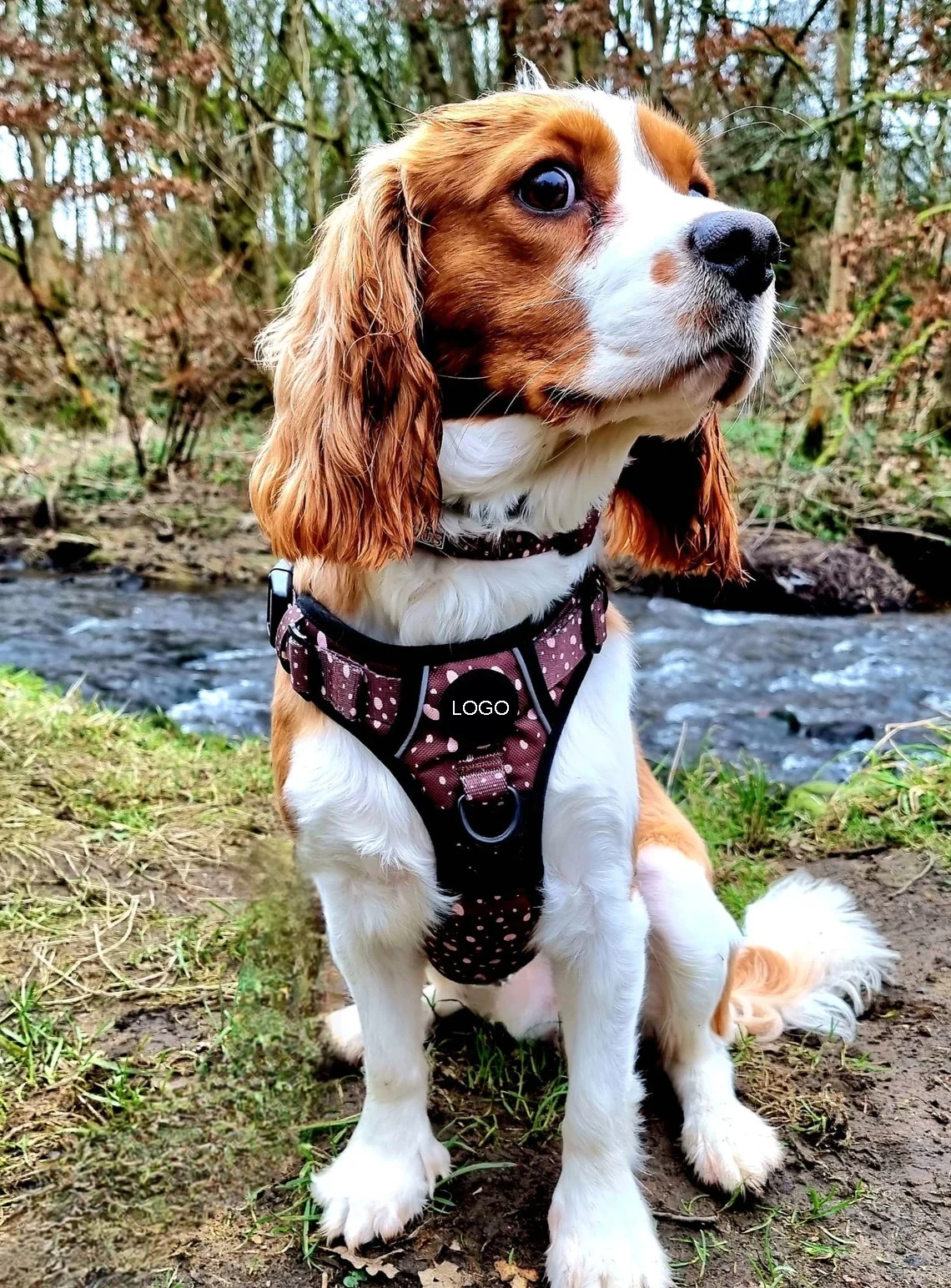 2024 Classic Best Selling Oxford Adjustable Dog Harness And Leash Collar Set With Premium Raw Material