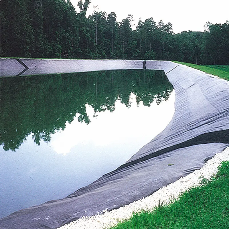 Hdpe 0.5mm 1mm 3mm 2mm hdpe pond liner black geomembrane fish farm pond liner hdpe geomembrane