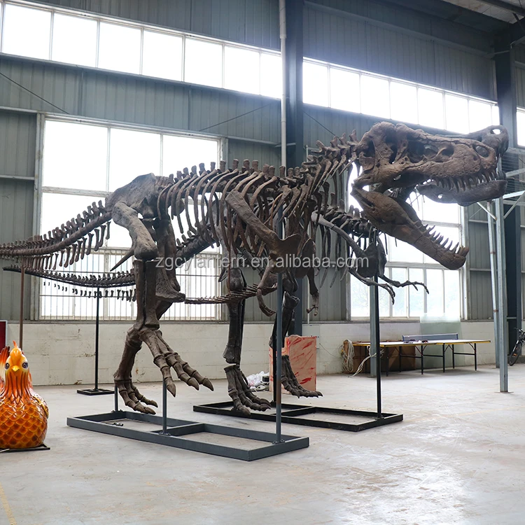 Dinosaur skeleton custom simulated dinosaur skeleton manufacturer Dinosaur Fossil Jurassic Dino World