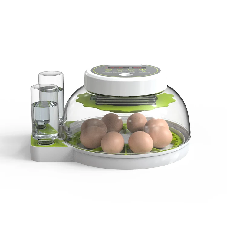 Home Use Egg Hatcher Mini 8 Capacity Egg Incubator For Hatching Eggs