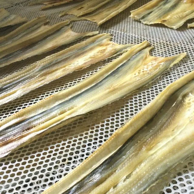 2021 new design heat pump dryer Cod dryer Seafood drying equipment