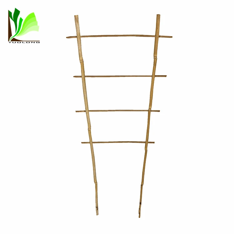Bamboo Trellis Bamboo Loop Support for Plant