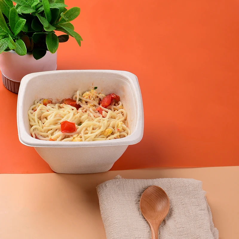 Wholesale Sugarcane Bagasse Food Container Disposable Compostable Rectangle Bowl With Lid