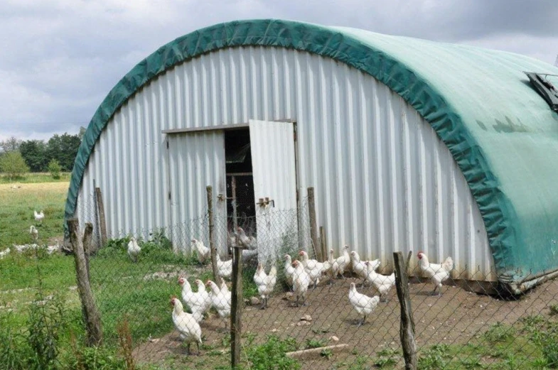 Agricultural Greenhouses farming snail tunnel Greenhouse plastic film Cultivation Shed Skeleton tomato greenhouse for sale
