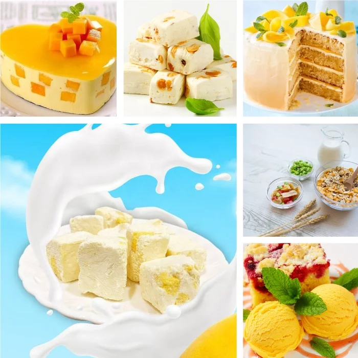 Best-Selling Grade Healthy Freeze Dried food 100% Natural Freeze Dried Mango