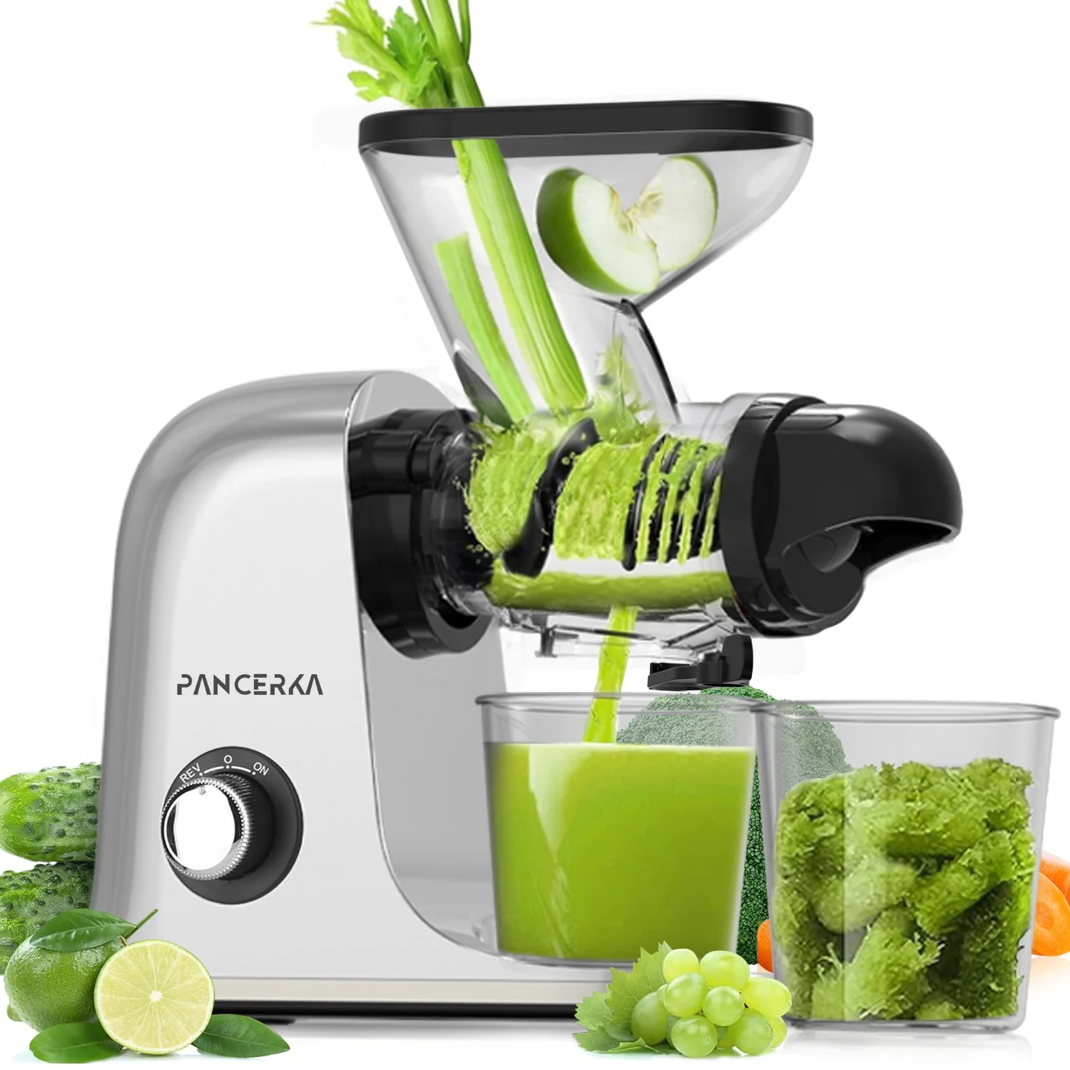 PANCERKA Cold Press Juicer Machine 1000w powerful High Yield Juice Maker with Dual Dispensing Chute US shipping