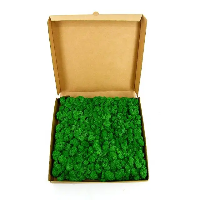 Wholesale Natural Green Stabilized Reindeer Moss Preserved Moss Panel For Decorative Wall