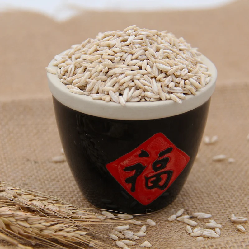 Meal Replacement lose weight Healthy nutritious oat grains for sale