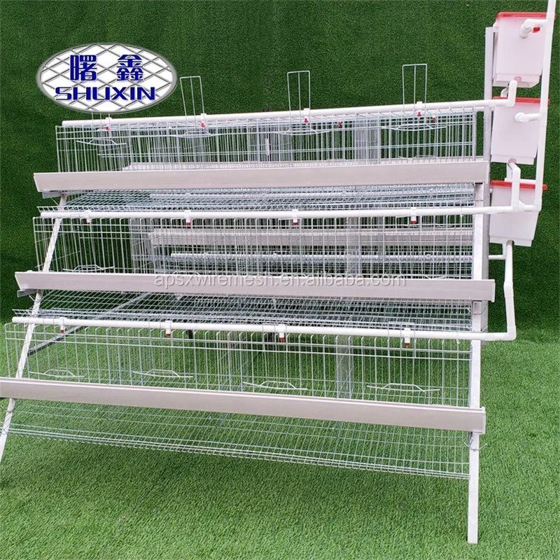 3 tiers 4 tiers Chicken Egg Layer Battery Cage For Tanzania Poultry Farm