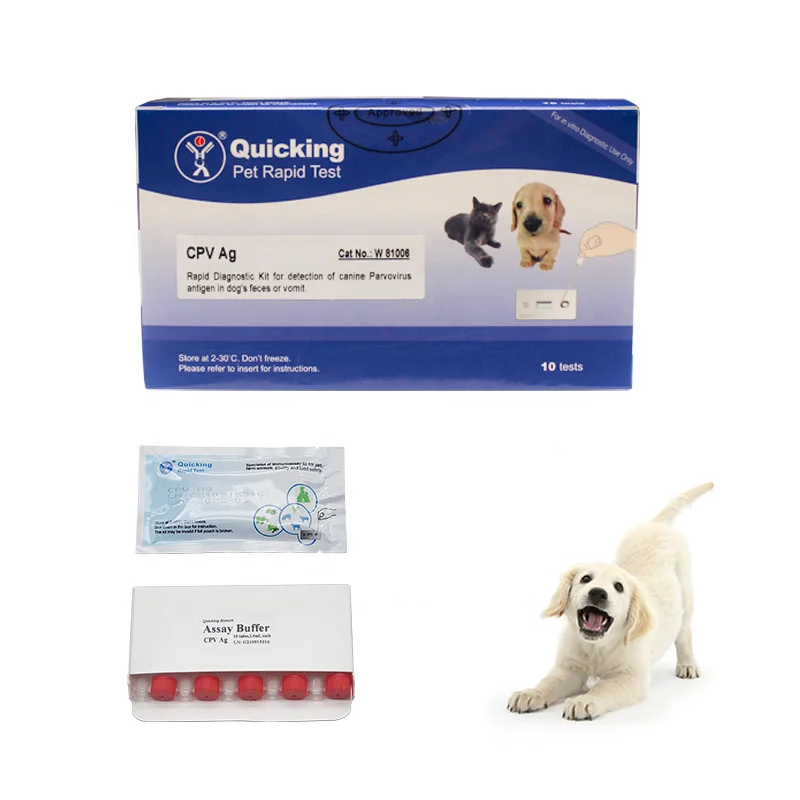 veterinary hospital Diagnostic dog disease test canine parvovirus CPV ag antigen rapid test kit