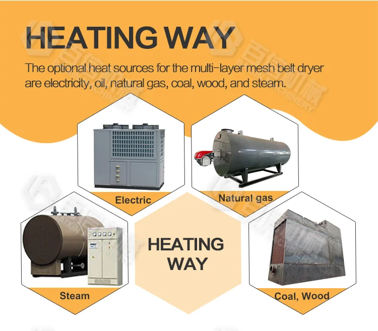 Large Capacity Automatic Turmeric Dryer Machine For Food Electric Dehydrator Garlic Ginger Drying Equipment