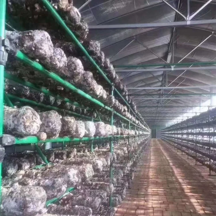 Дешевая оптовая торговля Коммерческая сельскохозяйственная теплица