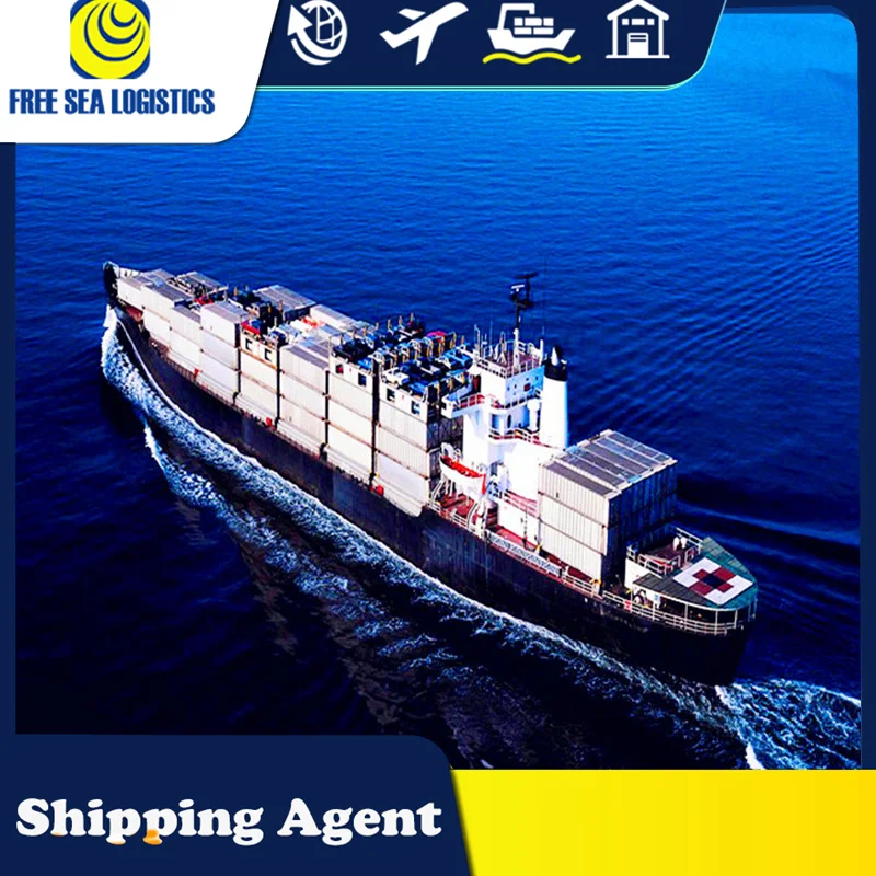 The Best Shipping Agent Freight Cargo Agent Door to Door Double Side Customs Clearance
