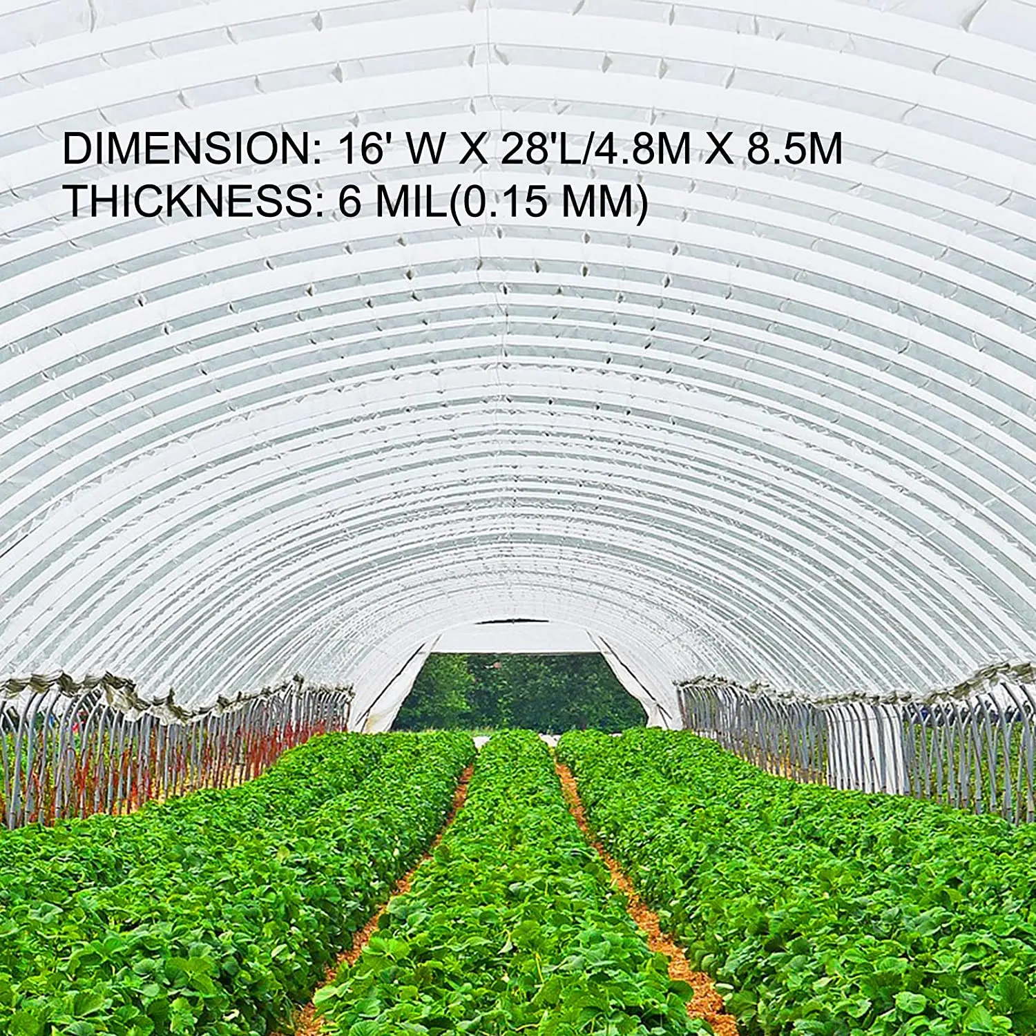 Agriculture Greenhouse Film Clear Plastic Sheeting UV Resistant Poly Film Garden for Plants