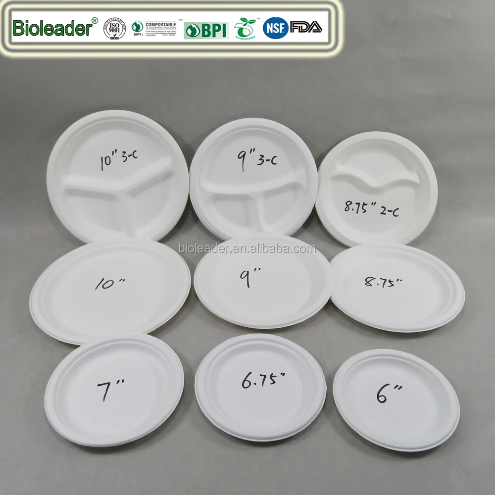 Biodegradable Sugarcane Bagasse 10x10 Inch Square Plates