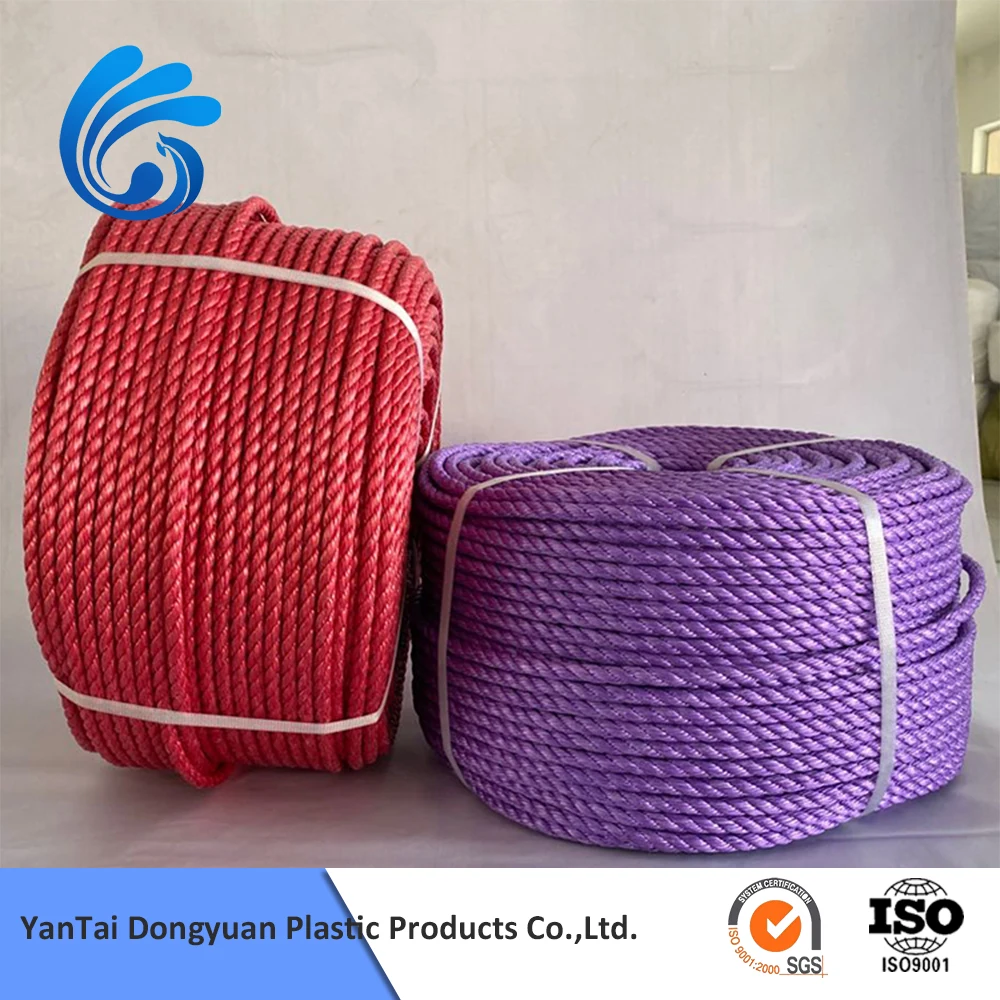 10mm High Strength Ships Sailing Boats 3/4 Strands pp Packaging Polyester Rope with Low Price
