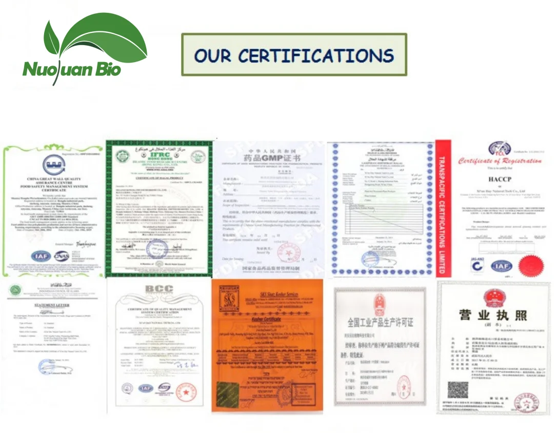 Supply High Quality Nettle Root Extract Nettle Root Powder 95% Stinging Nettle Leaf Extract with Free Sample