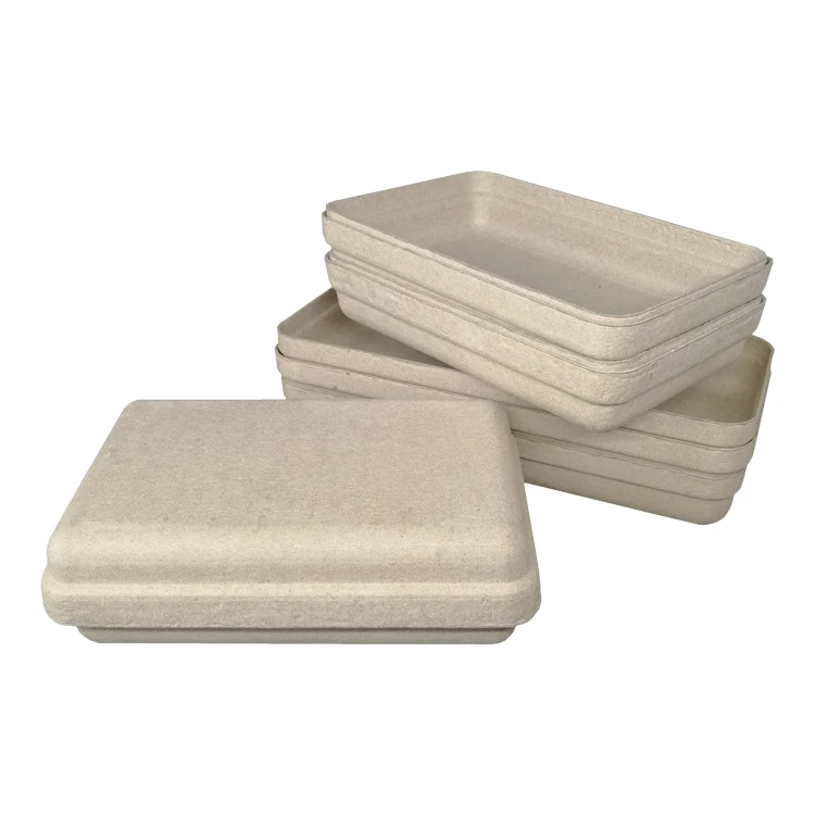 Paper Pulp Packaging Molding Moulded Recycled Mould Biodegradable Trays Food Box