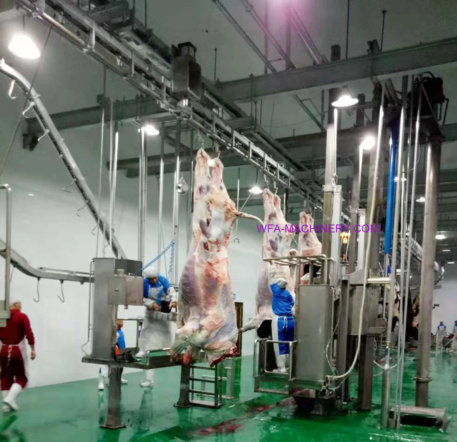  Новый дизайн оборудование для забоя производство мяса китайская конструкция скота бойни