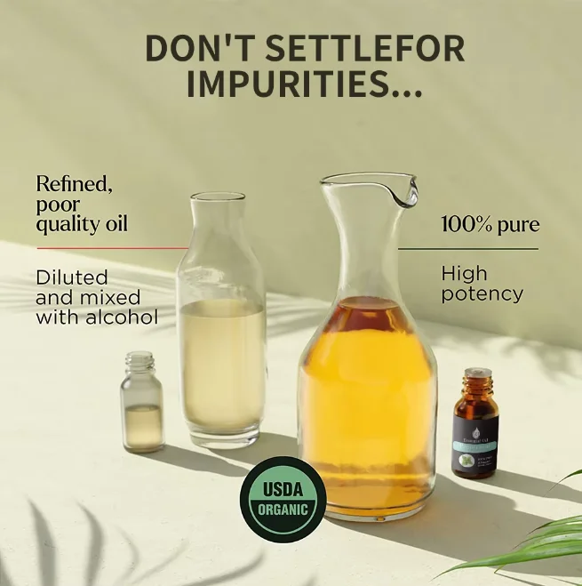 Essential Oil Set with Tea Tree Peppermint Lavender Lemon Eucalyptus Rose Rosemary Face Massage 10ml Bottle OEM Supply