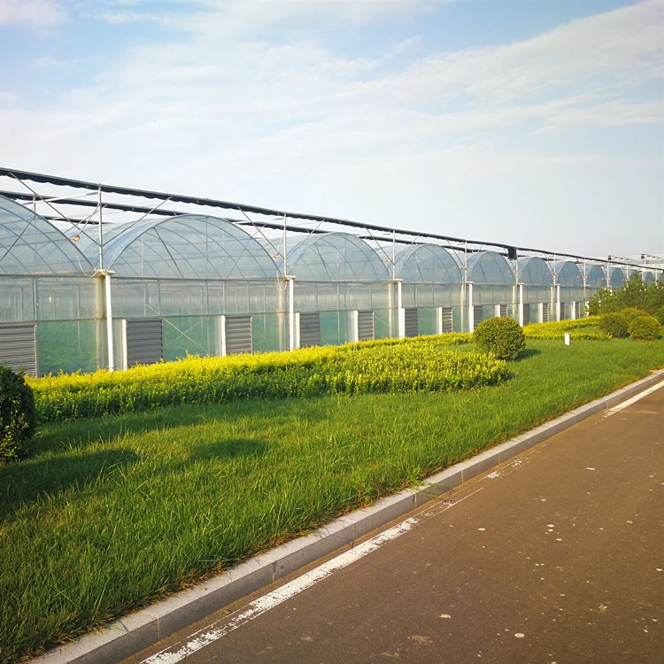 Agricultural Greenhouse Price