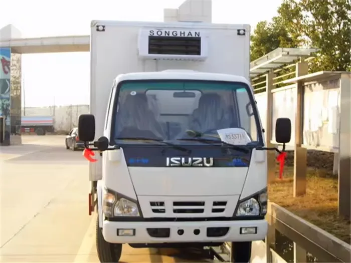 Used ISUZU 600p chassis+ new 5T Freezer truck with Cheap Price