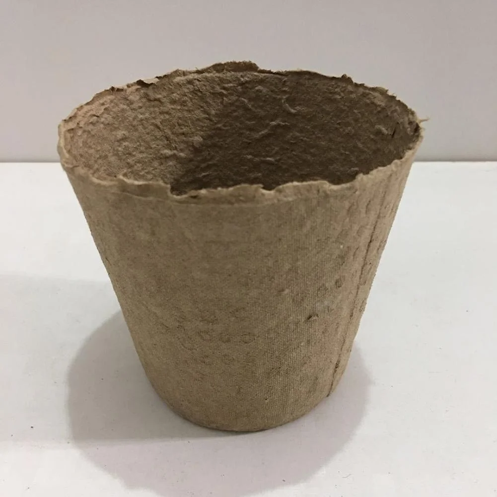 molded pulp flower pot for seedling