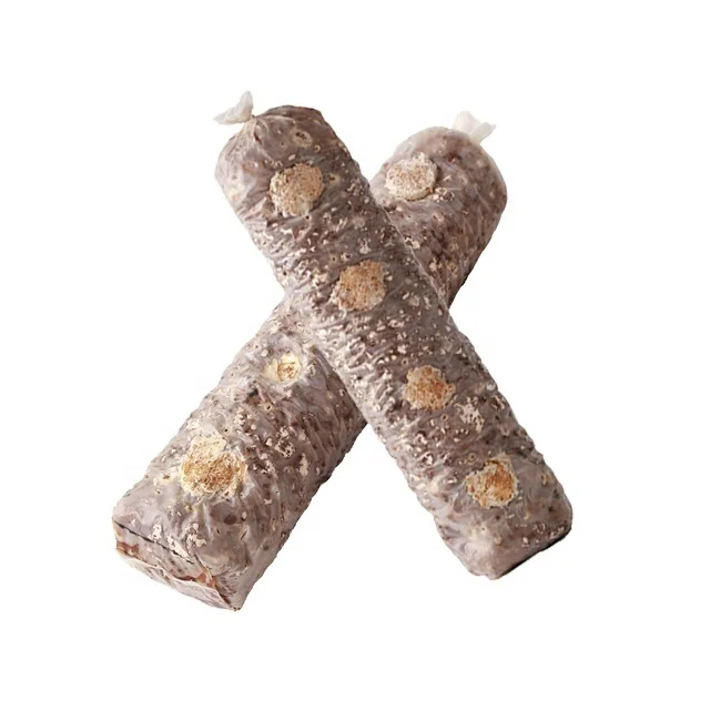 Top quality organic oak tree sawdust water film 808 big shiitake mushroom substrate