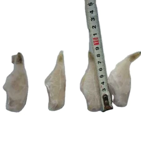 frozen leather jacket fish