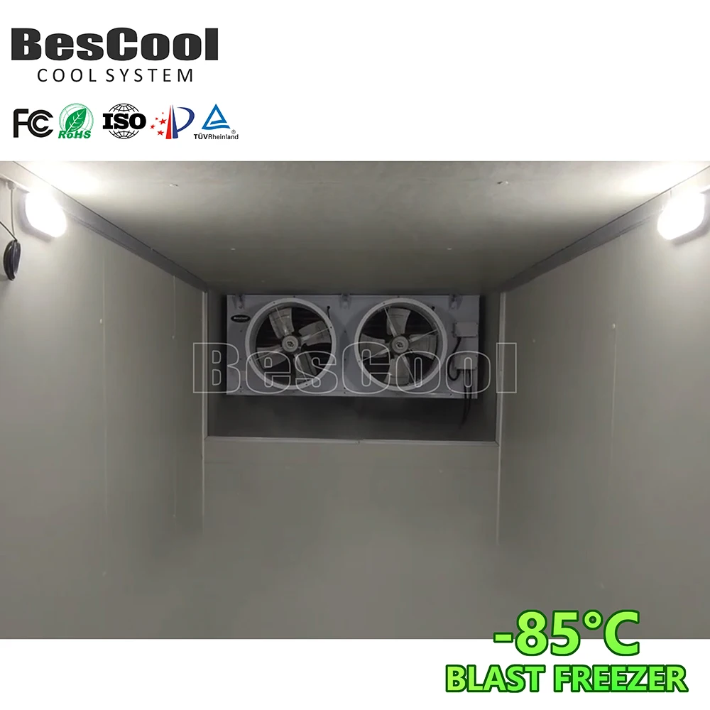 Bescool новый продукт 60 ° С быстрое морозильное оборудование контейнер для хранения тунца распродажа