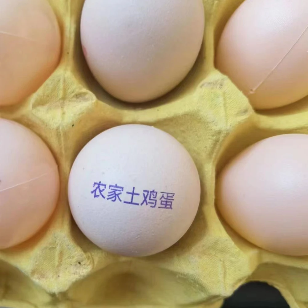 kelier Desktop Hen egg -type spray fox single -headed pallet coding full -automatic small egg inkjet wholesale