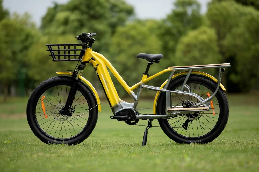 48V750W Brushless Motor ebike e-cargo e bicycle bike bicycle delivery electric bike 2 wheel electric cargo bike