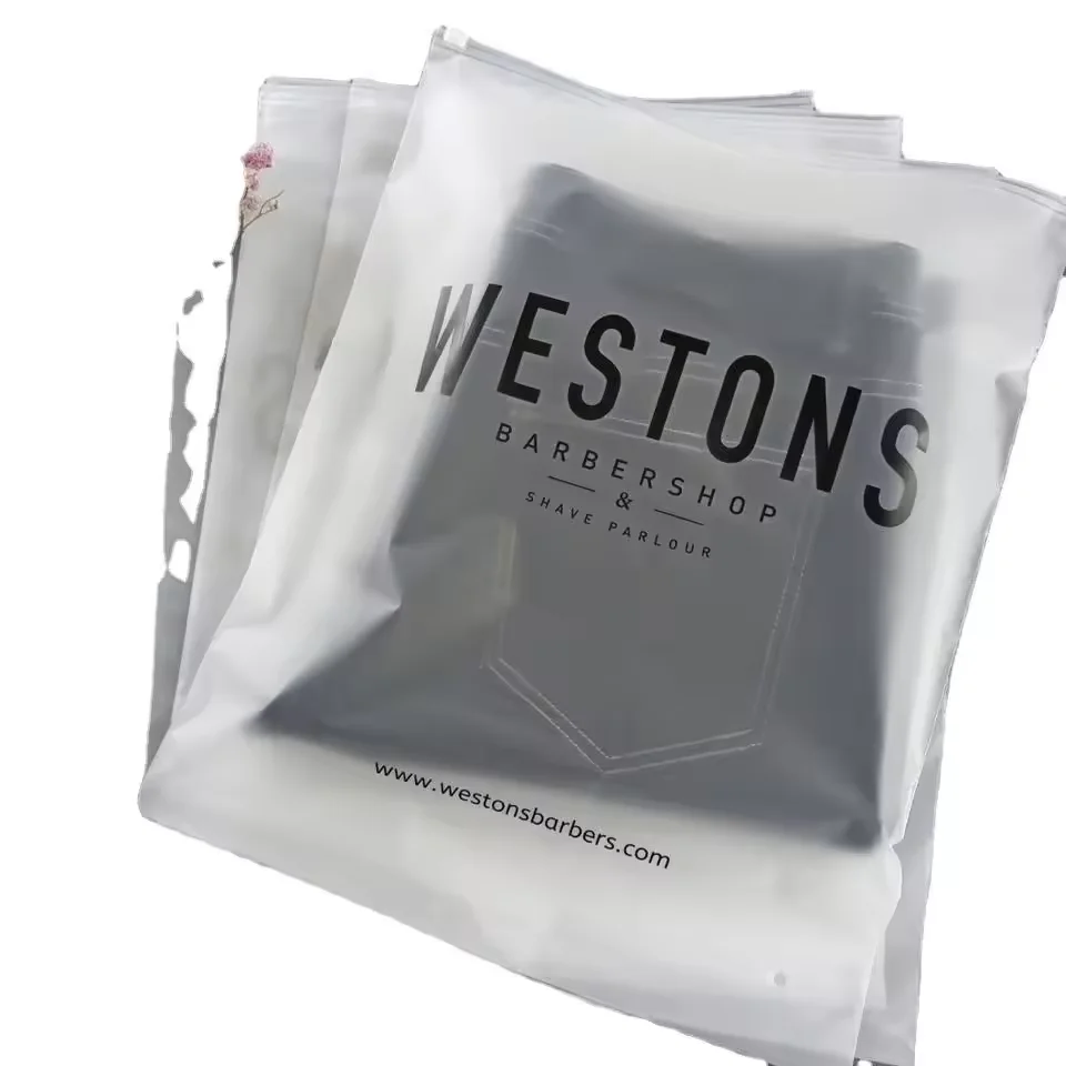 Customized Frosted Plastic Zipper Bag for Zip Lock Pouches for Frozen Clothing Packaging