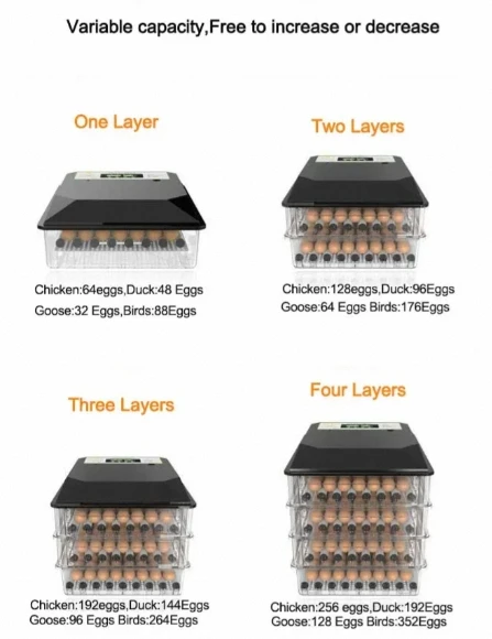 Widely Used automatic poultry hatching egg incubator small mini dual power chicken Broiler pigeon egg incubator