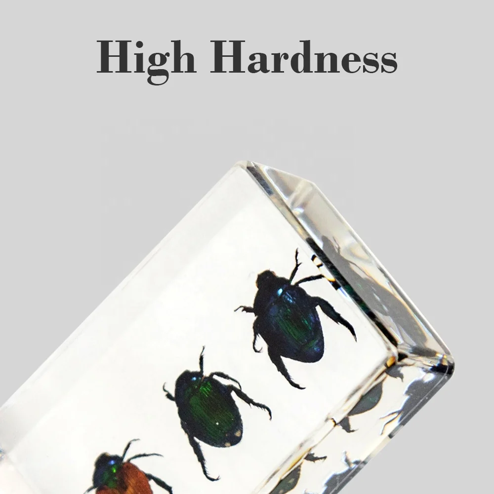 real beetles resin crafts three different kinds of beetles bugs in resin cube customized decoration for home living room