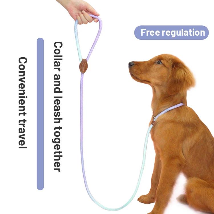 Colorful Comfortable Handle Heavy Duty P chain Rope Durable Adjustable Dog Leash For Medium Large and Small Dogs