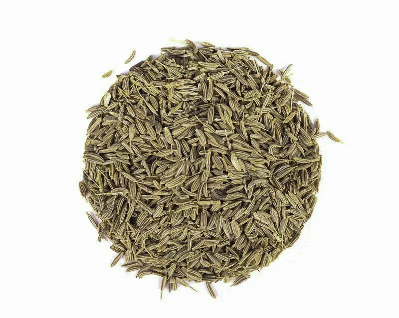 2024 New Crop Fennel Seeds Top Purity Natural Fennel Seeds For Wholesale Fresh Hot Selling Fennel Seeds