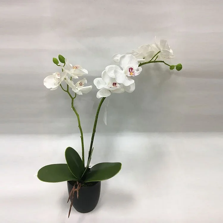 Cheap prices artificial orchid flowers bonsai wedding decorative phalaenopsis butterfly