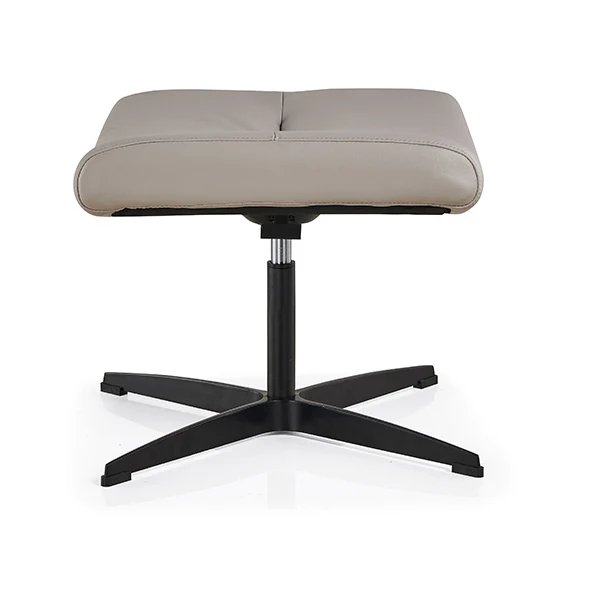 Modern Lounge Chair &ottoman Hotel Lounge Chair Lounge Accent Chair