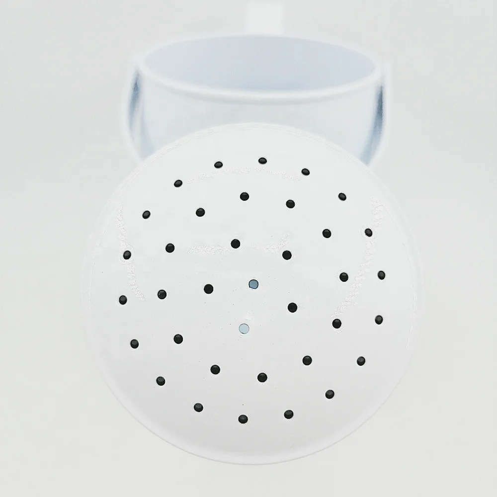 Vintage 2.5L White Color Kid Watering Can Metal Watering Can