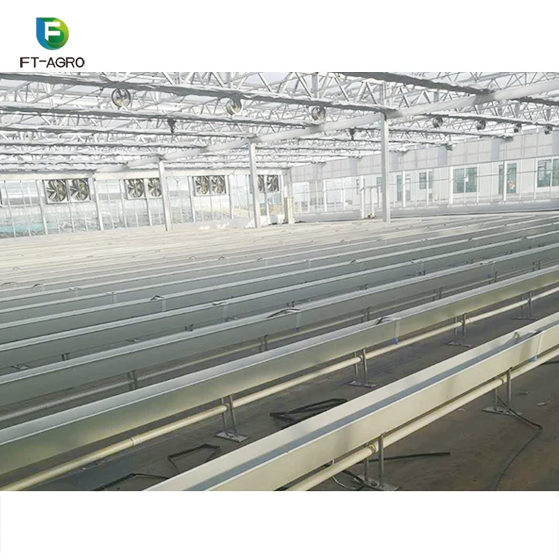 
Multi-span large agricultural plastic film Greenhouse project tomato greenhouse with hydroponic system 
