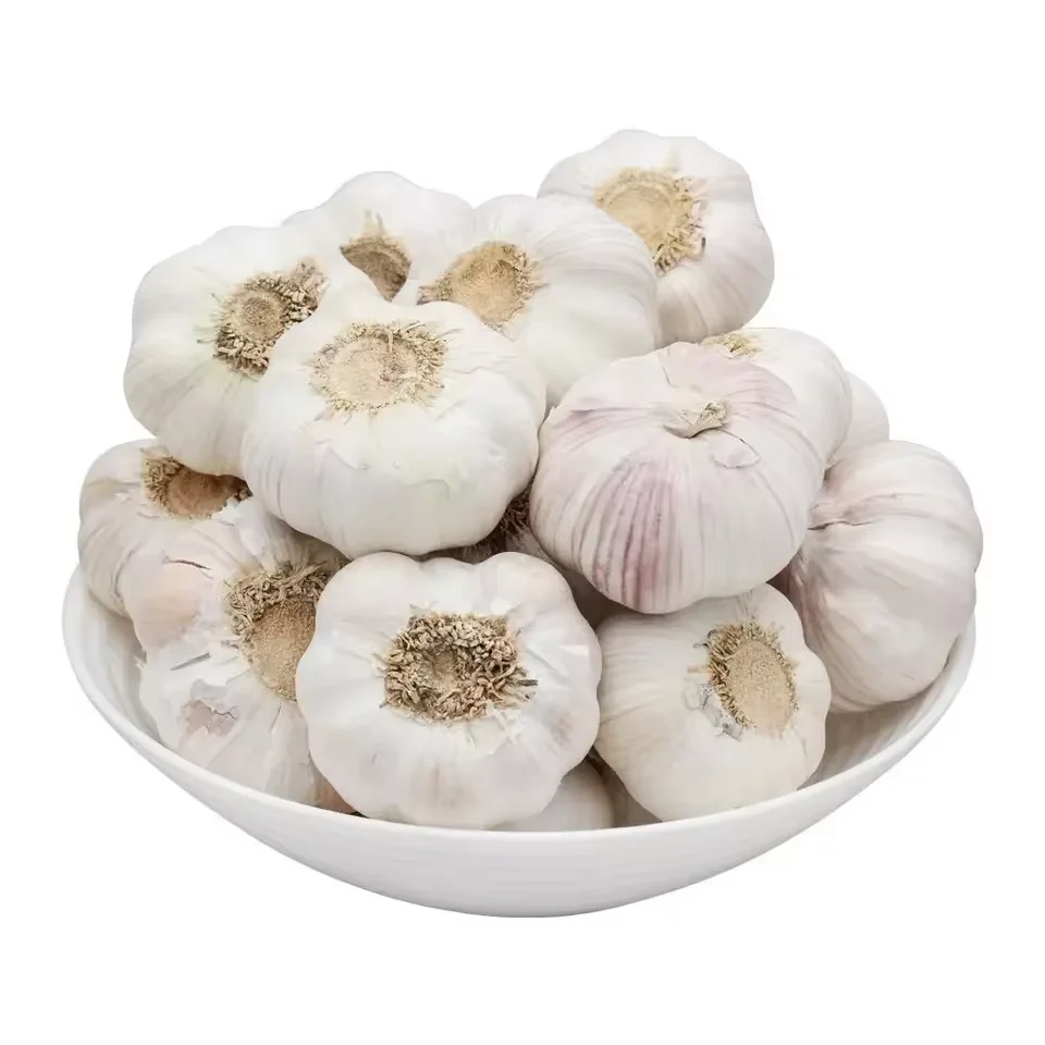 Wholesale High Quality Chinese Fresh White Galic/Red Garlic