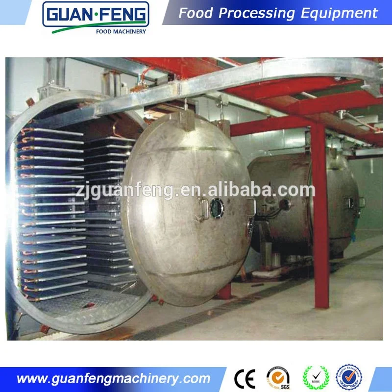 Hot sale aloe vera gel lyophilized food vacuum freeze drying equipment