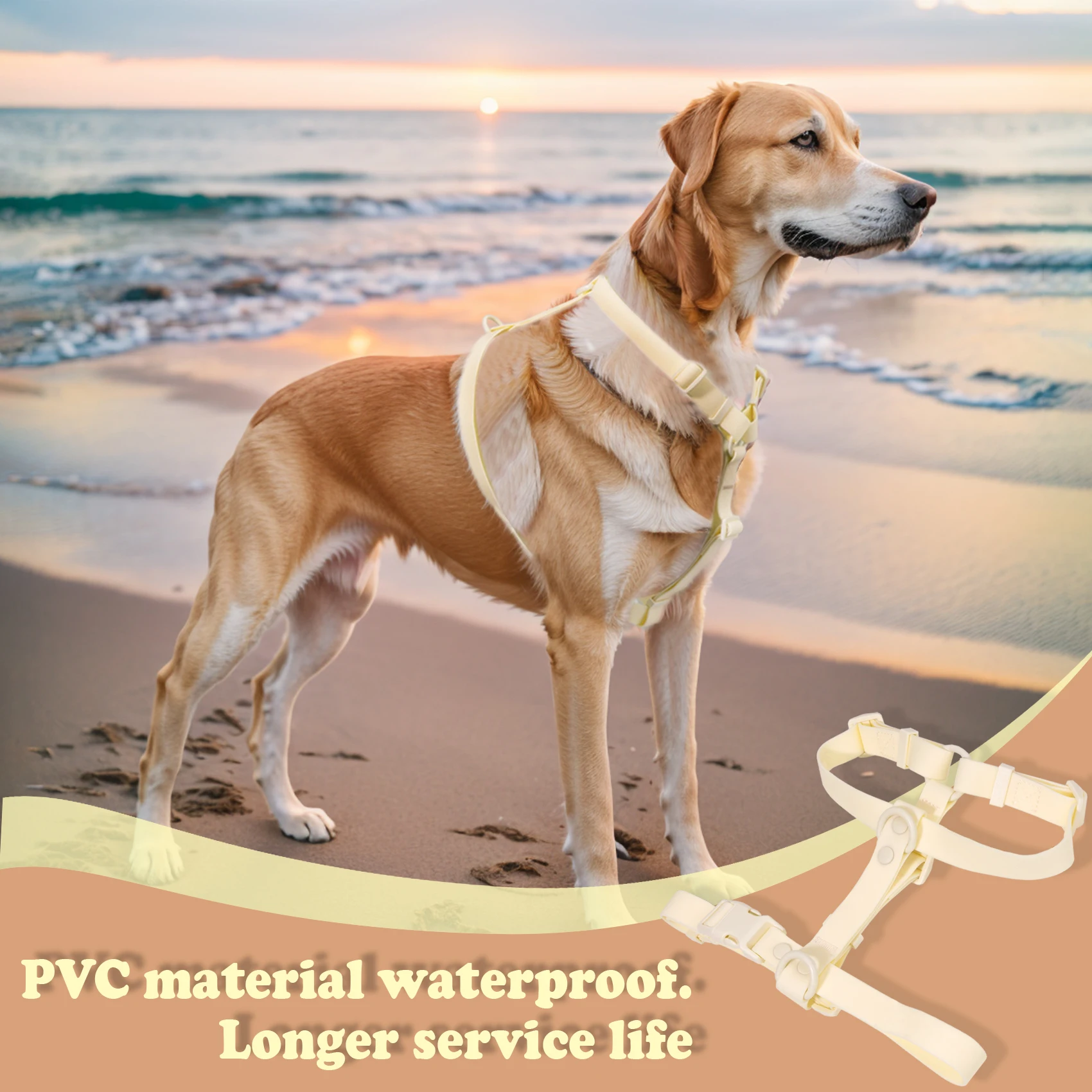 Sunraymascota New 2025 Manufacturer Custom LOGO Waterproof Pvc Pet Dog Harness Set Pet Collar Leash Dog Collar and Leash Set